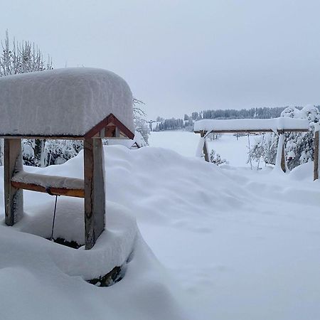 Trollenhof Im Allgaeu - Ferienwohnungen Saeuling Ruckholz Exteriér fotografie